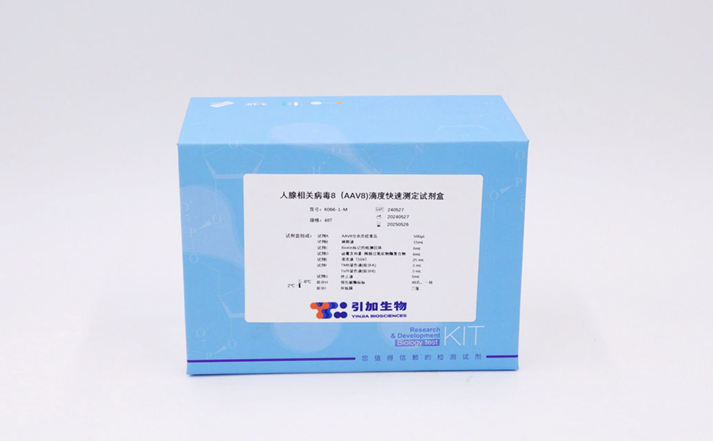 人腺相關病毒8(AAV8)滴度快速測定試劑盒