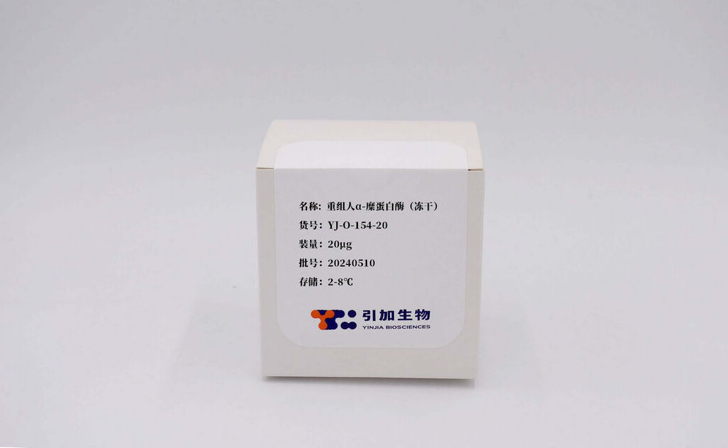 重組人α-糜蛋白酶(凍干)