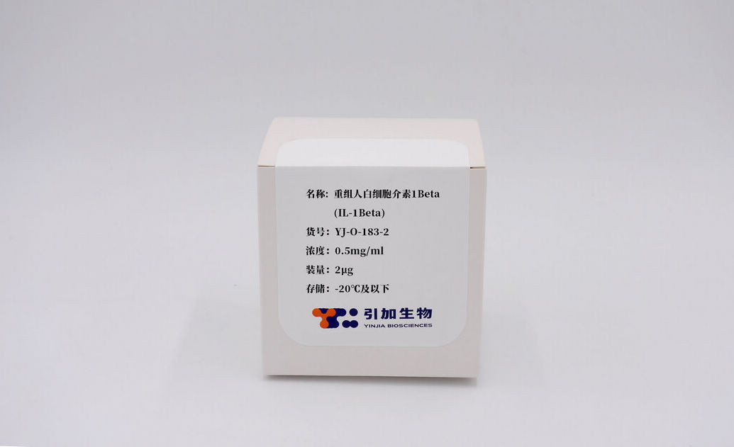 重組人白細胞介素1 Beta(IL-1 Beta)