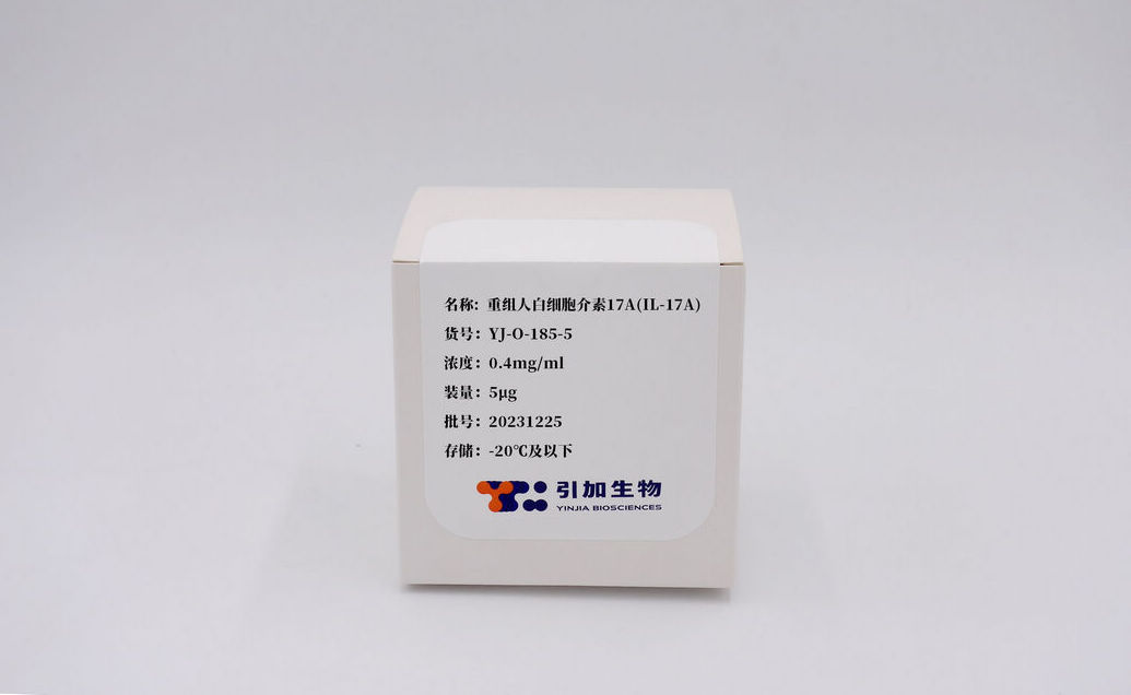 重組人白細胞介素17A(IL-17A)
