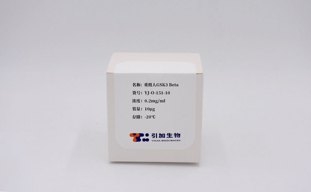 重組人GSK3 Beta
