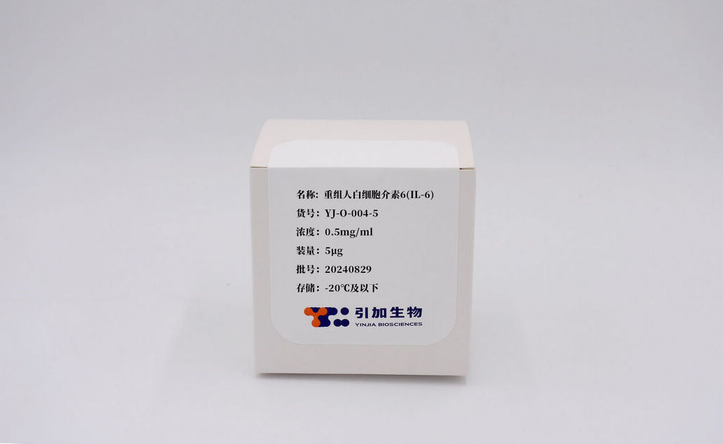 重組人白細胞介素6(IL-6)