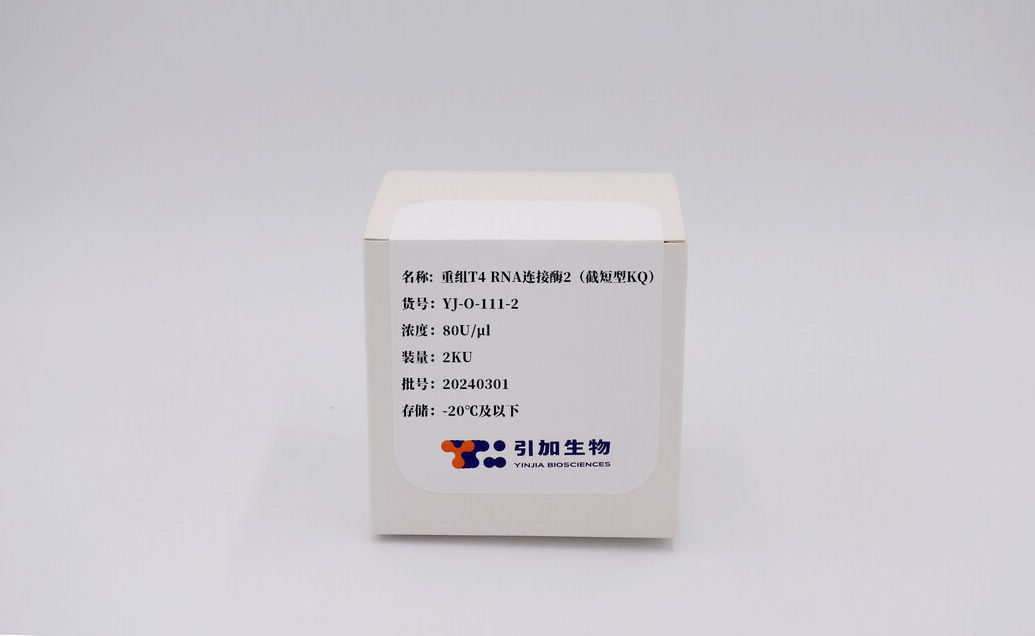 重組T4 RNA 連接酶2(截短型KQ)