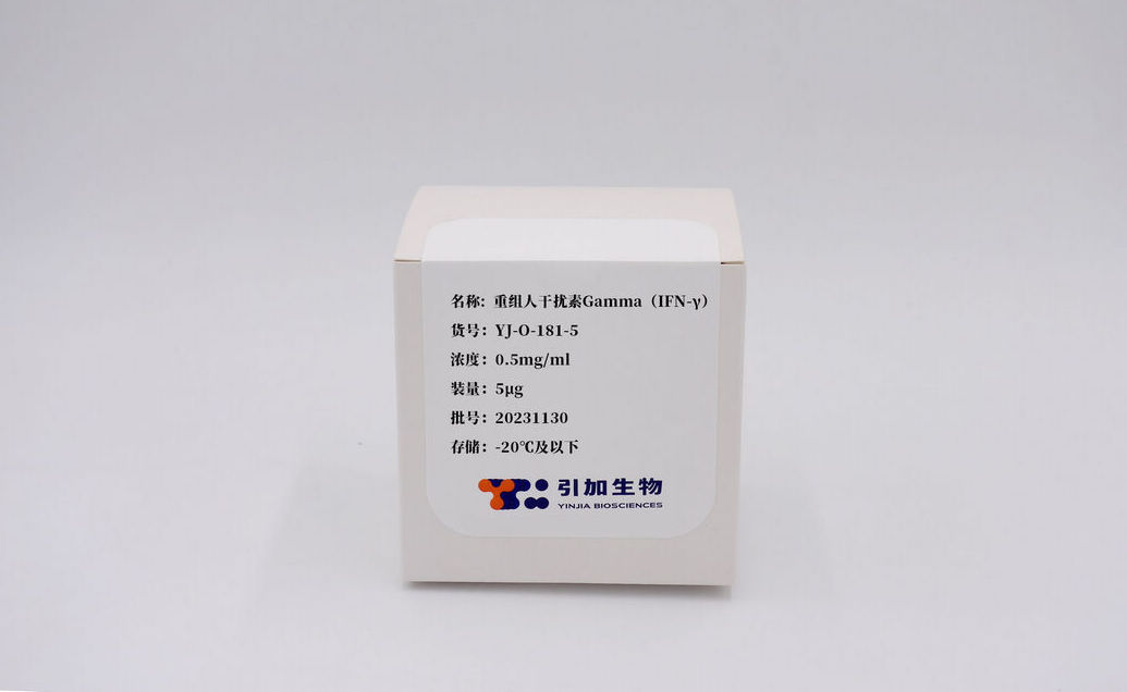 重組人干擾素Gamma(IFN-γ)