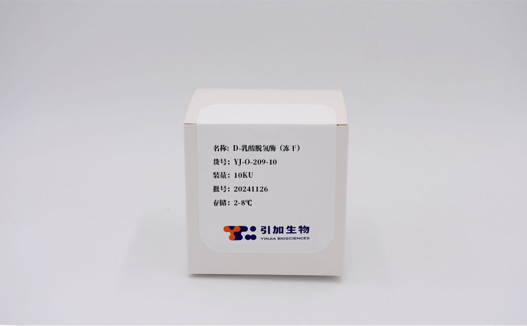D-乳酸脫氫酶(凍干)